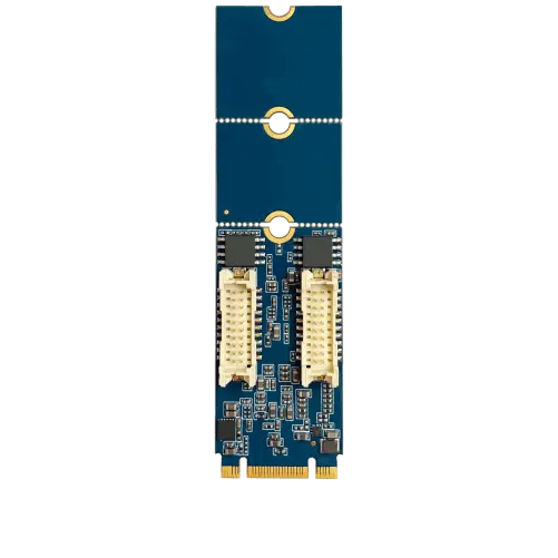 Cervoz_MEC-LAN-2002P-S