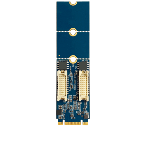 Cervoz_MEC-LAN-2002P