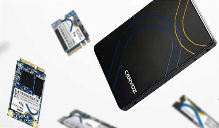 Cervoz_Different Types of SSD Form Factors: 2.5", M.2, mSATA, and More