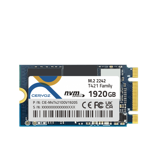 デク Industrial M.2 2242 Embedded Module - T421