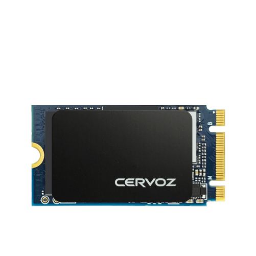 Industrial M.2 2242 Embedded Module - T421