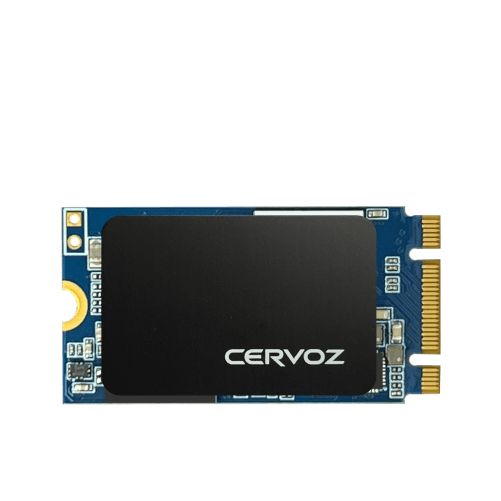 Industrial M.2 2242 Embedded Module - T425